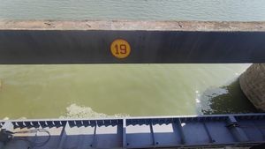 Tungabhadra: ರೈತರೇ ಗಮನಿಸಿ: ಕೃಷಿಗೆ ತುಂಗಾಭದ್ರಾ ಡ್ಯಾಂ ನೀರು, ತುರ್ತು ಸಭೆ