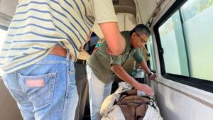 ಕೊಡಗಿನಲ್ಲಿ ವನ್ಯಪ್ರಾಣಿ- ಮಾನವ ಸಂಘರ್ಷಕ್ಕೆ ಮುಕ್ತಿ ಯಾವಾಗ?