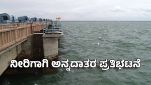 Farmers Protest: ನಾರಾಯಣಪುರ ಡ್ಯಾಂ ನೀರಿಗಾಗಿ ಅನ್ನದಾತರ ಪ್ರತಿಭಟನೆ: ವಿಷ ಕುಡಿಯುವುದಾಗಿ ಪಟ್ಟು