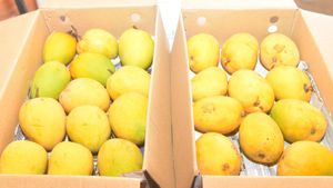 ಕೊಡಗು: ಮಾವು ಮತ್ತು ಹಲಸು ಮೇಳ 2025ಕ್ಕೆ ಚಾಲನೆ