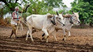 ಮುಂಗಾರು ಹಂಗಾಮು 2025: ಮಾಗಿ ಉಳುಮೆ ಮಾಡಲು ರೈತರಿಗೆ ಸಲಹೆ