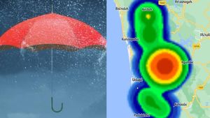 Rain Alert: ಉಡುಪಿಯಲ್ಲಿ ಮಳೆ ಅಬ್ಬರಕ್ಕೆ ಮನೆ, ರಸ್ತೆಗಳು ಕೆಸರು ಮಯ!
