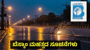 BESCOM: ಮಳೆಗಾಲದಲ್ಲಿ ವಿದ್ಯುತ್ ಸುರಕ್ಷತೆ ಹೀಗಿರಲಿ: ಬೆಸ್ಕಾಂ ಸಲಹೆ, ಸೂಚನೆಗಳು