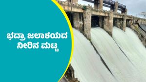 Bhadra Dam: ಜೂನ್‌ 15ರಂದು ಭದ್ರಾ ಜಲಾಶಯದ ನೀರಿನ ಮಟ್ಟ ಎಷ್ಟಿದೆ ತಿಳಿಯಿರಿ