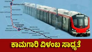 Hebbal-Sarjapur Metro: ಕೆಂಪು ಮಾರ್ಗಕ್ಕೆ ಕೇಂದ್ರದ ಒಪ್ಪಿಗೆ ಸಿಕ್ಕಿಲ್ಲ! ಬಿಎಂಆರ್‌ಸಿಎಲ್‌ಗೆ ಮಹತ್ವದ ಸೂಚನೆ