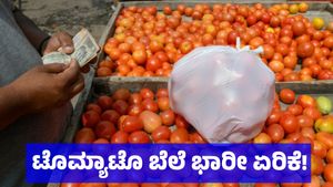 ಏಕಾಏಕಿ ಟೊಮ್ಯಾಟೊ ಬೆಲೆ ಭಾರೀ ಏರಿಕೆ: ಪ್ರತಿ ಕೆ.ಜಿಗೆ ಎಷ್ಟಿದೆ ಇಲ್ಲಿದೆ ಮಾಹಿತಿ!