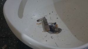 ಹಾಸನ: ಮನೆಯಲ್ಲಿ ಭಾರೀ ಸ್ಫೋಟ: ದಂಪತಿಗೆ ಗಂಭೀರ ಗಾಯ