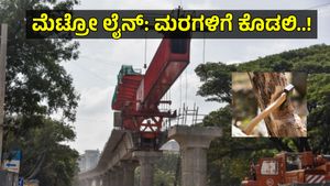 Namma Metro Phase 3rd: ಯೋಜನೆಗಾಗಿ 1,092 ಮರಗಳಿಗೆ ಕತ್ತರಿ: 2,175 ಮರ ತೆರವಿಗೆ ಪ್ರಸ್ತಾವನೆ