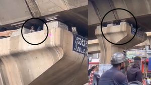 Video Viral: ಬೆಂಗಳೂರು ಮೇಲ್ಸೇತುವೆ ಪಿಲ್ಲರ್ ಒಳಗೆ ಕೂತ ಭೂಪ: ಅಚ್ಚರಿಗೊಂಡ ಜನ
