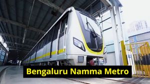 Yellow Line Namma Metro: ರೈಲಿನಲ್ಲಿ ಮತ್ತೆ ತಾಂತ್ರಿಕ ಲೋಪ, BMRLCಗೆ ನೆಟ್ಟಿಗರ ಮಹತ್ವದ ಸಲಹೆ