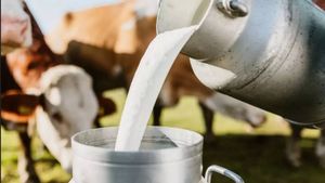 ಕರ್ನಾಟಕದ ಈ ಜಿಲ್ಲೆ ಅತ್ಯಧಿಕ ಹಾಲು ಉತ್ಪಾದನೆಯ 3ನೇ ಜಿಲ್ಲೆಯಾಗಲು ಮೊದಲ ಹೆಜ್ಜೆ