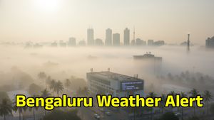 Cold Wave Alert: ಬೆಂಗಳೂರಲ್ಲಿ 10 ವರ್ಷದ ದಾಖಲೆಯ ಚಳಿ! ಡಿ.19ರ ವರೆಗಿನ ಹವಾಮಾನ ಮುನ್ಸೂಚನೆ