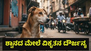 ಅಮಾಯಕ ಬೀದಿ ನಾಯಿ ಮೇಲೆ ಲೈಂಗಿಕ ದೌರ್ಜನ್ಯ ಎಸಗಿ ಕೊಲೆ? ರಾಜಧಾನಿ ಬೆಂಗಳೂರಲ್ಲಿ ಭೀಕರ ಘಟನೆ Stray Dog