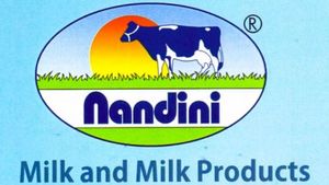 Nandini Brand: ನಂದಿನಿ ಉತ್ಪನ್ನ ಬಗ್ಗೆ ಅಪಪ್ರಚಾರ ಮಾಡಿದ ಶರಣ್ಯ ವಿರುದ್ಧ ಎಫ್‌ಐಆರ್, ಕೆಎಂಎಫ್ ಸ್ಪಷ್ಟನೆ