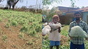 Rain: ಕರ್ನಾಟಕದ ಕಾಶ್ಮೀರವಾದ ಮಾಚಾಪುರ: ಜೆಸಿಬಿ ಮೂಲಕ ಆಲಿಕಲ್ಲು ತೆರವು, ಕಂಗಾಲಾದ ಅನ್ನದಾತ
