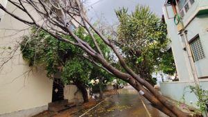 Greater Bengaluru Authority: ಅಪಾಯಕಾರಿ ಮರ-ಕೊಂಬೆಗಳ ತೆರವು ಚುರುಕು – ಸಾರ್ವಜನಿಕ ಸುರಕ್ಷತೆಗೆ ಆದ್ಯತೆ 