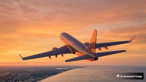 Bengaluru Second Airport: ದಕ್ಷಿಣ ಬೆಂಗಳೂರಿನಲ್ಲಿ ತಲೆ ಎತ್ತಲಿದೆಯಾ 2ನೇ ಅಂತಾರಾಷ್ಟ್ರೀಯ ವಿಮಾನ ನಿಲ್ದಾಣ?