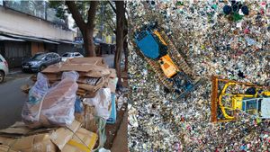 Bengaluru Waste: ಬೆಂಗಳೂರಿನಲ್ಲಿ ಕಸ ನಿವರ್ಹಣೆಯಲ್ಲಿ ಮಹತ್ವದ ಬದಲಾವಣೆ: ಹೋಟೆಲ್ - ವಾಣಿಜ್ಯ ಉದ್ದಿಮೆಗಳಿಗೆ ಎಚ್ಚರಿಕೆ 