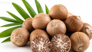 Arecanut Price Today: ಶಿವಮೊಗ್ಗ ಮಾರುಕಟ್ಟೆಯಲ್ಲಿ ಅಡಿಕೆ ಧಾರಣೆ ಎಷ್ಟಿದೆ? ಇಲ್ಲಿದೆ ಜೂನ್‌ 26ರ ದರಪಟ್ಟಿ   