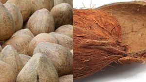 Coconut Shell: ತುಮಕೂರಿನಲ್ಲಿ ಮೊಟ್ಟ ಮೊದಲ ಬಾರಿ ದಾಖಲೆ ಬೆಲೆಗೆ ಮಾರಾಟವಾದ ಕೊಬ್ಬರಿ ಚಿಪ್ಪು..  