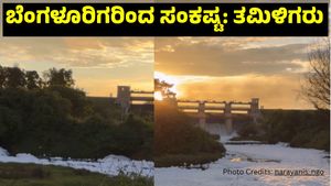 Viral Video: ಕಾವೇರಿ ನೀರಿನ ವಿಚಾರದಲ್ಲಿ ಹೊಸ ಖ್ಯಾತೆ ತೆಗೆದ ತಮಿಳಿಗರು, ಕನ್ನಡಿಗರು ಹೇಳಿದ್ದೇನು  