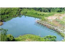അന്‍വര്‍ എംഎല്‍എയുടെ അനധികൃത തടയണ പൊളിച്ചില്ല, പരാതിക്കാരന്‍ വീണ്ടും കോടതിയിൽ,കലക്ടർ നിയമോപദേശം തേടി