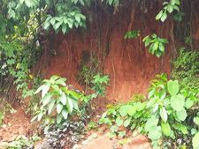 പെരിങ്ങളം റോഡില്‍ മണ്ണിടിഞ്ഞ് വീടിന് ഭീഷണി: ഏത് നിമിഷവും വീട് നിലംപൊത്തുമെന്ന ഭീതിയില്‍ ഒരു കുടുംബം