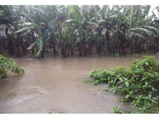 കാലവര്‍ഷം:തൃശൂര്‍ ജില്ലയില്‍  മൂന്നുമരണം,  ഫൈബര്‍ വള്ളം മറിഞ്ഞ് മരിച്ചവരുടെ മൃ‍തദേഹം  ലഭിച്ചു!
