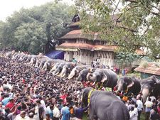 ശ്രീ വടക്കുന്നാഥ ക്ഷേത്രത്തില്‍  ആനകള്‍ക്ക് ആനവയറോളം ഊട്ട്:  അണിനിരന്നത്  54 ഗജവീരന്‍മാര്‍