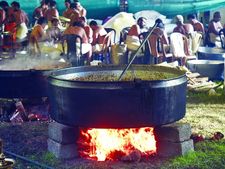 വടക്കുന്നാഥക്ഷേത്രത്തില്‍ ആനയൂട്ട് ചൊവ്വാഴ്ച: ഒരുക്കങ്ങള്‍ പൂര്‍ത്തിയായി