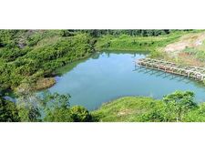 നിയമലംഘനം:  ഒടുവില്‍ സര്‍ക്കാറും അന്‍വര്‍ എംഎല്‍എയെ കൈവിടുന്നു! തടയണ പൊളിക്കാന്‍ സര്‍ക്കാര്‍ പിന്തുണ