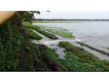 കാലവര്‍ഷക്കെടുതി: ആലപ്പുഴയിൽ 50 കോടിയുടെ നഷ്ടം , കുട്ടനാട്ടിൽ 4.61 കോടി, 128 പാടശേഖരങ്ങൾ വെള്ളത്തിൽ!