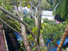 മഴക്കെടുതി: കൊച്ചിയില്‍ 54 ക്യാമ്പുകളിലായി 4681 പേരെ മാറ്റിപ്പാര്‍പ്പിച്ചു