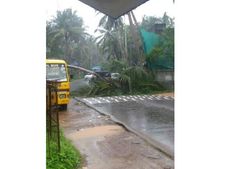  കാലവർഷക്കെടുതി: വടകര താലൂക്കിൽ മുപ്പതു ലക്ഷം രൂപ നഷ്ട്ട പരിഹാരം നൽകും, വേനല്‍ മഴക്കെടുതിക്കും!!