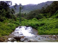 ബാലുശേരി നമ്പികളവും ടൂറിസം മാപ്പില്‍: കോഴിക്കോട്ട് വിനോദസഞ്ചാര കേന്ദ്രങ്ങള്‍ വര്‍ധിക്കുന്നു