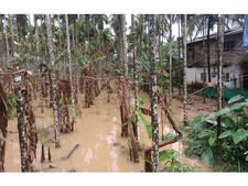 വയനാട്ടില്‍ വീണ്ടും കനത്തമഴ; കാലവര്‍ഷത്തില്‍ ജില്ലയില്‍ ഇതുവരെ ലഭിച്ചത് 1005 മില്ലീമീറ്റര്‍ മഴ