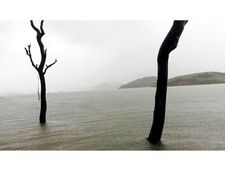 ജില്ലയിലെ അണക്കെട്ടുകള്‍ ജലസമൃദ്ധിയില്‍; ബാണാസുര സാഗര്‍ ഡാമിന്റെ ഷട്ടറുകള്‍ തുറന്നേക്കും; അതീവജാഗ്രതാ നിര്‍ദേശം