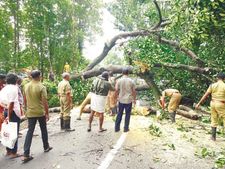 മഴക്കെടുതി: തൃശൂരില്‍ 277 പേരെ ദുരിതാശ്വാസ ക്യാമ്പുകളിലേക്ക് മാറ്റിപ്പാര്‍പ്പിച്ചു