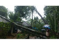 അധികൃതരുടെ കൃത്യവിലോപം... ഷലീലയ്ക്ക് നഷ്ടമായത് സ്വന്തം കിടപ്പാടം, നഷ്ടപെട്ടത് ഒറ്റമുറി വീട്! 