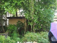 രാജനഗരിയിൽ കണ്ണായ സർക്കാർ ഭൂമി കാടുകേറി: കാടുപിടിച്ച ഭൂമി സാമൂഹ്യ വിരുദ്ധരുടെ ഒളിത്താവളം! അനാസ്ഥ!!