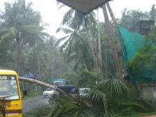 വടകരയിൽ കനത്ത മഴയും ചുഴലിക്കാറ്റും; വീടിനു മുകളിൽ മരം വീണ് സ്ത്രീക്ക് പരുക്ക് 