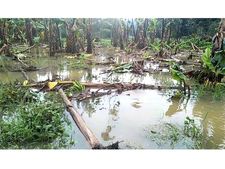  മഴക്കെടുതി: കേന്ദ്ര സഹായത്തിനു ശുപാര്‍ശ ചെയ്യുമെന്ന് കേന്ദ്രസംഘം, കളക്ടറുടെ നേതൃത്വത്തില്‍ ചര്‍ച്ച!