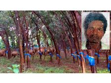 ജനവാസ മേഖലയില്‍ കാട്ടാനയിറങ്ങുന്നു: ഒരാളെ ചവിട്ടിക്കൊന്നു, ഇനിയും ജീവന്‍ പൊലിയുണെമന്ന് മുന്നറിയിപ്പ്