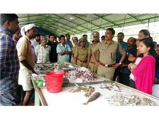  വിപണിയിൽ വില്‍പന നടത്തിയത് പുഴുവരിച്ച മത്സ്യം: വില്‍പനക്കാരന് മുങ്ങി, പിഴ ചുമത്താന്‍ തീരുമാനം!