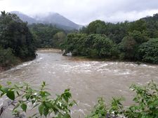 കേരളത്തിലെ പ്രളയക്കെടുതി: ചത്തുപൊങ്ങിയത് ലക്ഷക്കണക്കിന്  മൃഗങ്ങള്‍, 