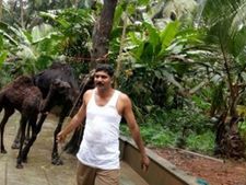 വേളം പെരുവയലിലെ ഫാമില്‍ നിന്ന് ഫയര്‍ ഫോഴ്‌സ് സംഘം മൃഗങ്ങളെ രക്ഷപ്പെടുത്തിയത് അതിസാഹിസകമായി