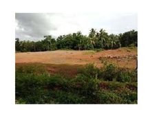 പാലോറ മലയില്‍ നിര്‍മാണ പ്രവൃത്തികള്‍ അനുവദിക്കില്ലെന്ന് യൂത്ത്‌ലീഗ്: കോഴിക്കോട്  പ്രതിഷേധത്തിന്!