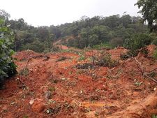 അനധികൃത നിര്‍മ്മാണം, പാറഖനനം, കുന്നിടിക്കല്‍; വയനാട്ടിലെ ദുരന്തത്തിന് കാരണം ഇതോ? 