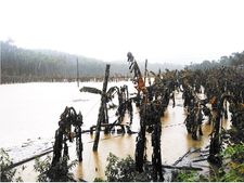 മഴക്കെടുതി: കാര്‍ഷികമേഖലയില്‍ 50 കോടി രൂപയുടെ നഷ്ടം; ടൂറിസം മേഖലയിലേത് നാലരക്കോടി