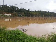 വയനാട്ടില്‍ കൃഷിനാശത്തിനൊപ്പം കര്‍ഷക ആത്മഹത്യയും:  കൃഷിയിടത്തില്‍ തൂങ്ങിമരിച്ച നിലയില്‍, കടബാധ്യത!!